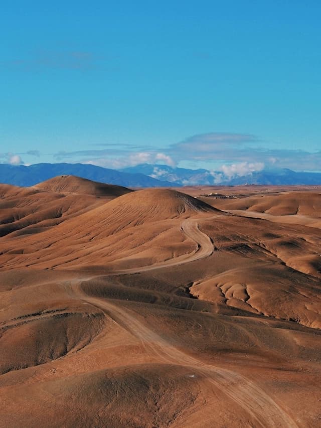 Desert Excursion